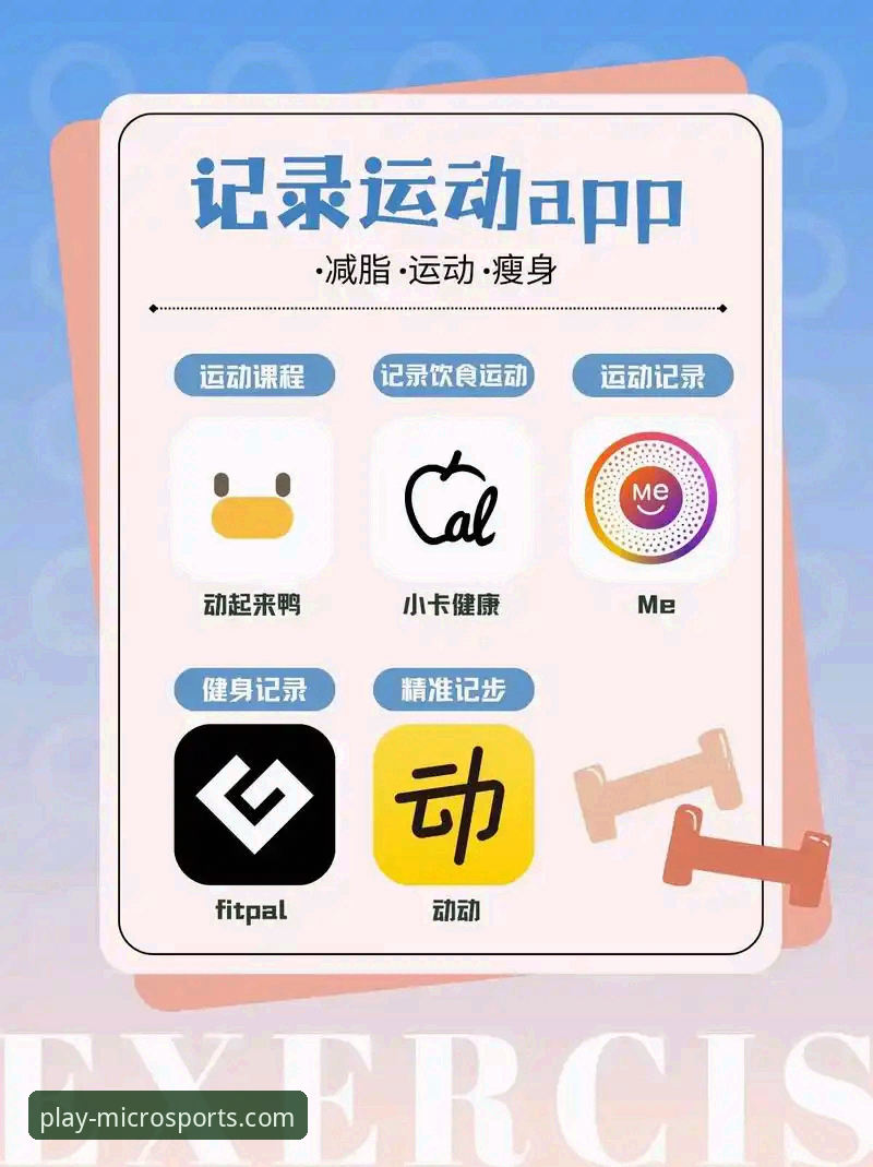 微玩体育平台下载与使用指南：从入门到精通
